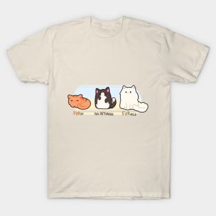 Counting in Cats T-Shirt